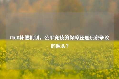 CSGO补偿机制，公平竞技的保障还是玩家争议的源头？