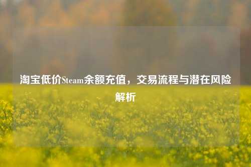  *** 低价Steam余额充值，交易流程与潜在风险解析
