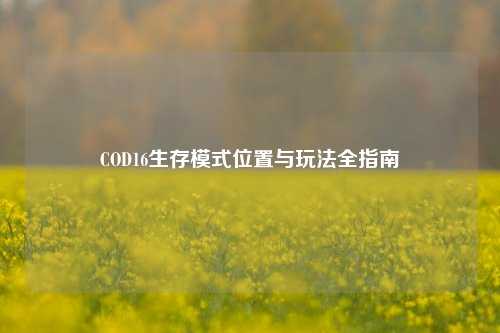 COD16生存模式位置与玩法全指南