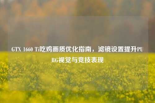 GTX 1660 Ti吃鸡画质优化指南，滤镜设置提升PUBG视觉与竞技表现