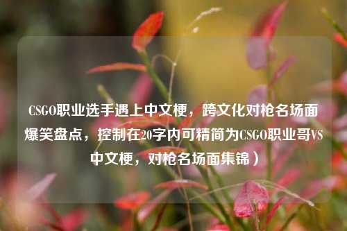 CSGO职业选手遇上中文梗，跨文化对枪名场面爆笑盘点，控制在20字内可精简为CSGO职业哥VS中文梗，对枪名场面集锦）
