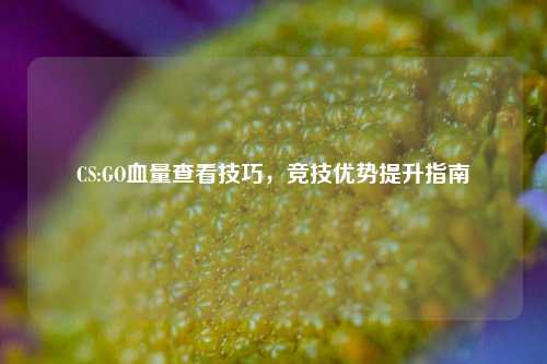 CS:GO血量查看技巧，竞技优势提升指南