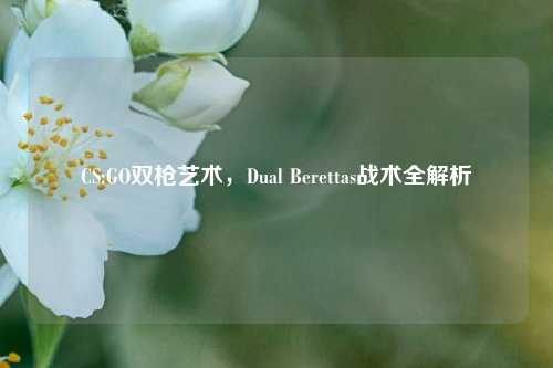 CS:GO双枪艺术，Dual Berettas战术全解析
