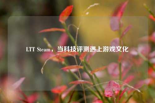LTT Steam，当科技评测遇上游戏文化