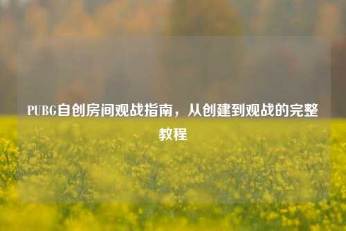 PUBG自创房间观战指南，从创建到观战的完整教程
