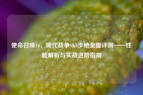 使命召唤16，现代战争SKS步枪全面评测——性能解析与实战进阶指南