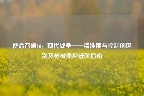 使命召唤16,现代战争——精准度与控制的区别及枪械操控进阶指南