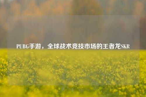 PUBG手游，全球战术竞技市场的王者龙SKR