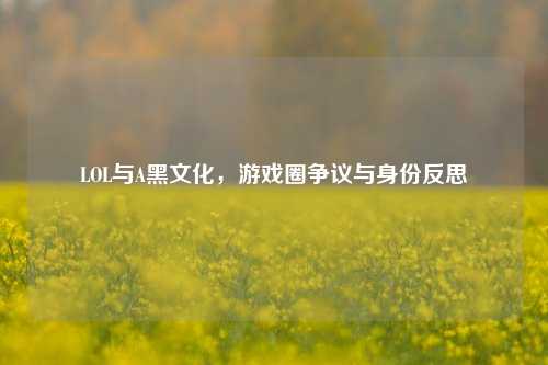 LOL与A黑文化，游戏圈争议与身份反思
