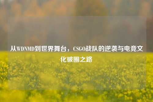 从WDNMD到世界舞台，CSGO战队的逆袭与电竞文化破圈之路