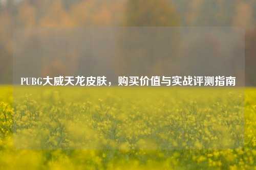PUBG大威天龙皮肤，购买价值与实战评测指南