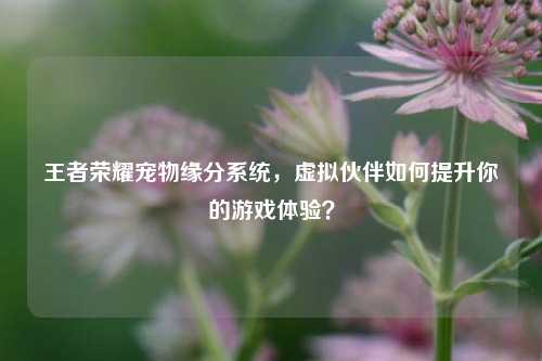 王者荣耀宠物缘分系统,虚拟伙伴如何提升你的游戏体验?