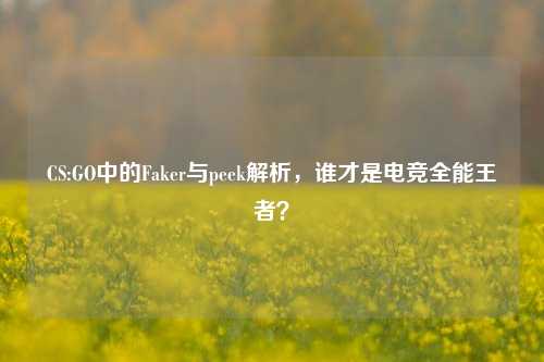 CS:GO中的Faker与peek解析，谁才是电竞全能王者？