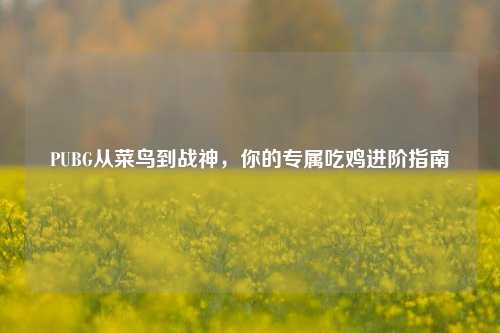PUBG从菜鸟到战神，你的专属吃鸡进阶指南
