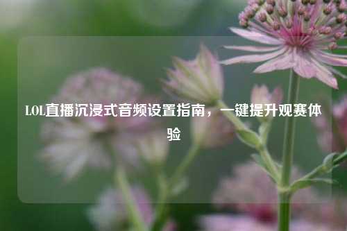 LOL直播沉浸式音频设置指南,一键提升观赛体验
