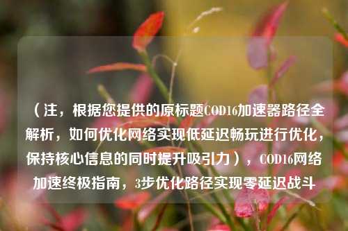 （注，根据您提供的原标题COD16加速器路径全解析，如何优化 *** 实现低延迟畅玩进行优化，保持核心信息的同时提升吸引力），COD16 *** 加速终极指南，3步优化路径实现零延迟战斗