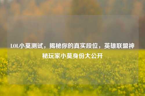 LOL小莫测试，揭秘你的真实段位，英雄联盟神秘玩家小莫身份大公开