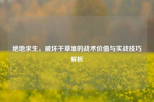 绝地求生，破坏干草堆的战术价值与实战技巧解析