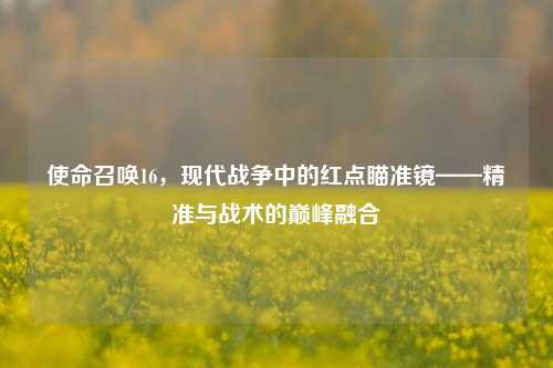 使命召唤16，现代战争中的红点瞄准镜——精准与战术的巅峰融合