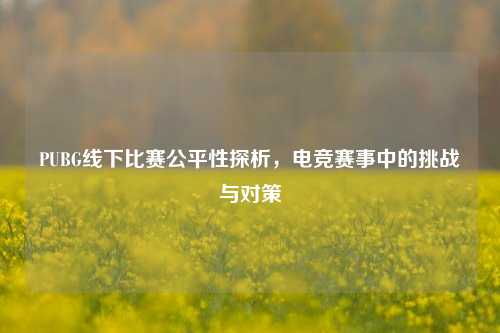 PUBG线下比赛公平性探析，电竞赛事中的挑战与对策