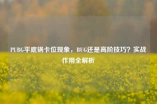 PUBG平底锅卡位现象，BUG还是高阶技巧？实战作用全解析