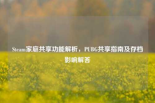 Steam家庭共享功能解析，PUBG共享指南及存档影响解答