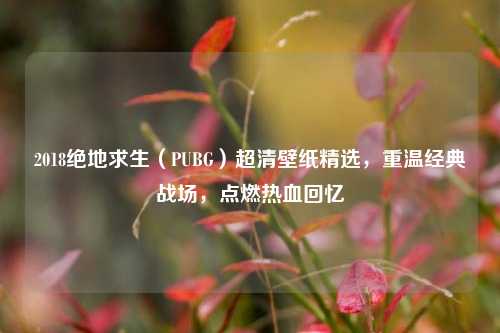 2018绝地求生（PUBG）超清壁纸精选，重温经典战场，点燃热血回忆