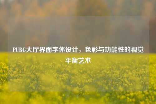 PUBG大厅界面字体设计,色彩与功能性的视觉平衡艺术