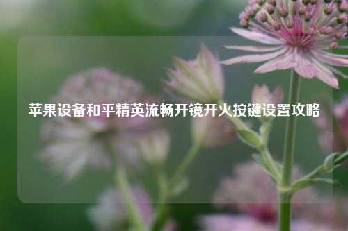 苹果设备和平精英流畅开镜开火按键设置攻略