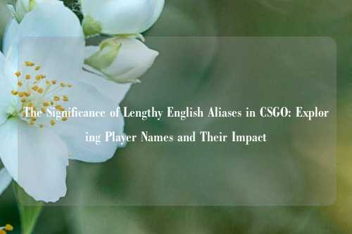 The Significance of Lengthy English Aliases in CSGO: Exploring Player Names and Their Impact