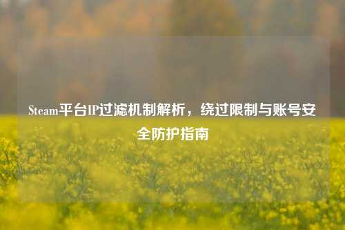 Steam平台IP过滤机制解析，绕过限制与账号安全防护指南