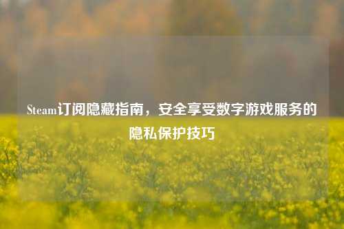Steam订阅隐藏指南，安全享受数字游戏服务的隐私保护技巧