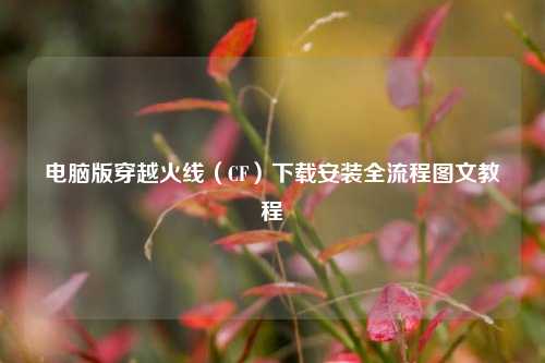 电脑版穿越火线（CF）下载安装全流程图文教程