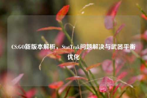 CS:GO新版本解析，StatTrak问题解决与武器平衡优化