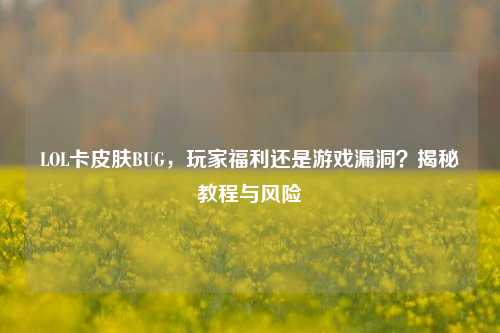 LOL卡皮肤BUG，玩家福利还是游戏漏洞？揭秘教程与风险