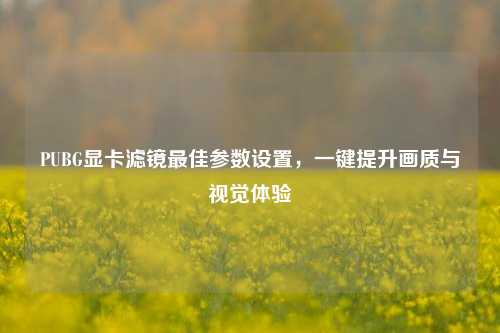 PUBG显卡滤镜更佳参数设置，一键提升画质与视觉体验