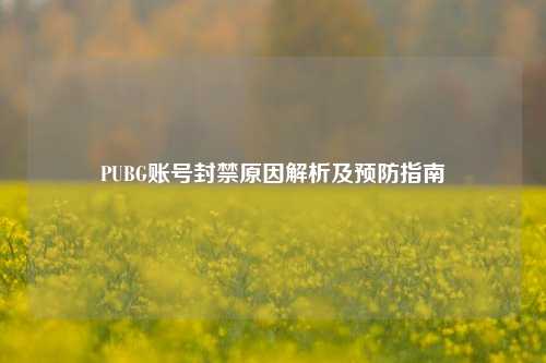 PUBG账号封禁原因解析及预防指南