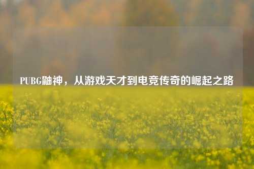 PUBG鼬神，从游戏天才到电竞传奇的崛起之路
