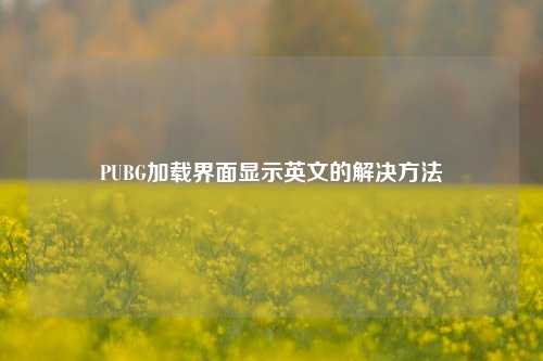 PUBG加载界面显示英文的解决 *** 