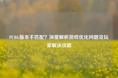 PUBG版本不匹配？深度解析游戏优化问题及玩家解决攻略