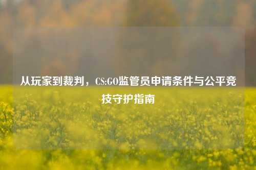 从玩家到裁判，CS:GO监管员申请条件与公平竞技守护指南