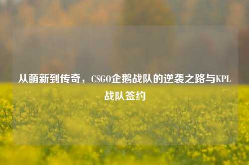 从萌新到传奇，CSGO企鹅战队的逆袭之路与KPL战队签约
