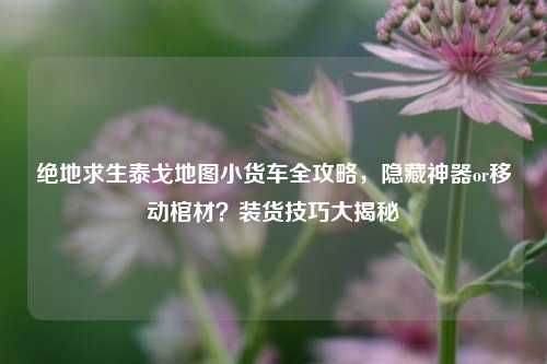 绝地求生泰戈地图小货车全攻略，隐藏神器or移动棺材？装货技巧大揭秘