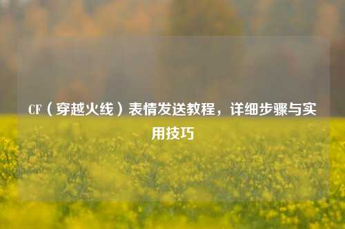 CF（穿越火线）表情发送教程，详细步骤与实用技巧
