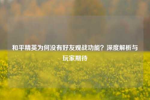 和平精英为何没有好友观战功能？深度解析与玩家期待