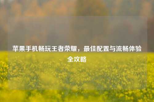 苹果手机畅玩王者荣耀,更佳配置与流畅体验全攻略