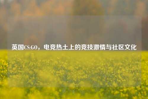 英国CS:GO，电竞热土上的竞技 *** 与社区文化
