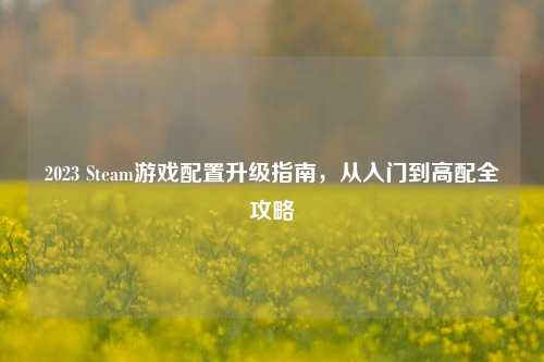 2023 Steam游戏配置升级指南，从入门到高配全攻略