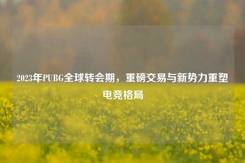 2023年PUBG全球转会期,重磅交易与新势力重塑电竞格局
