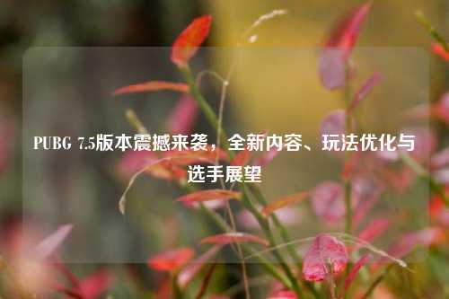 PUBG 7.5版本震撼来袭，全新内容、玩法优化与选手展望